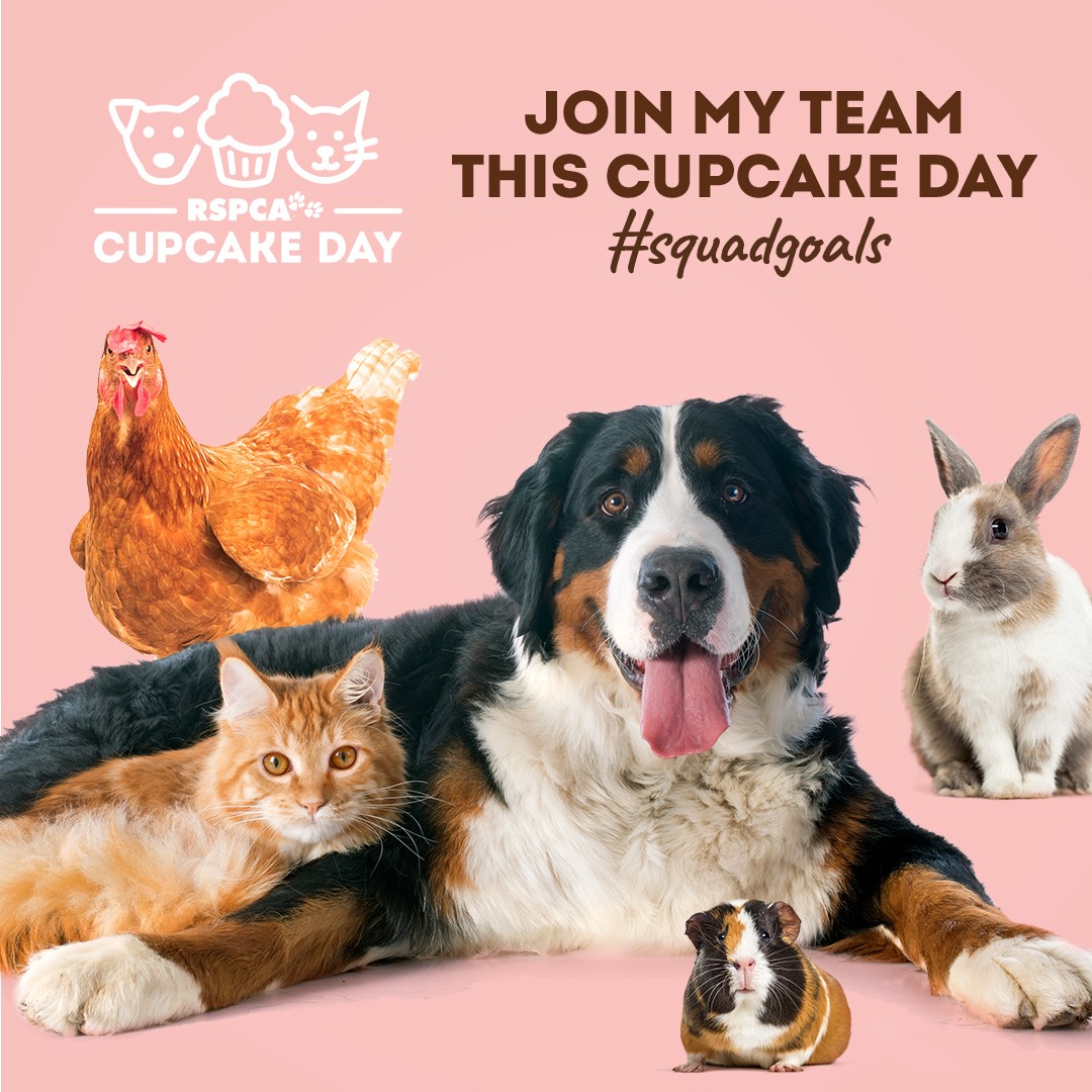 Get 20% off your Scrubs this Cupcake Day- August 21