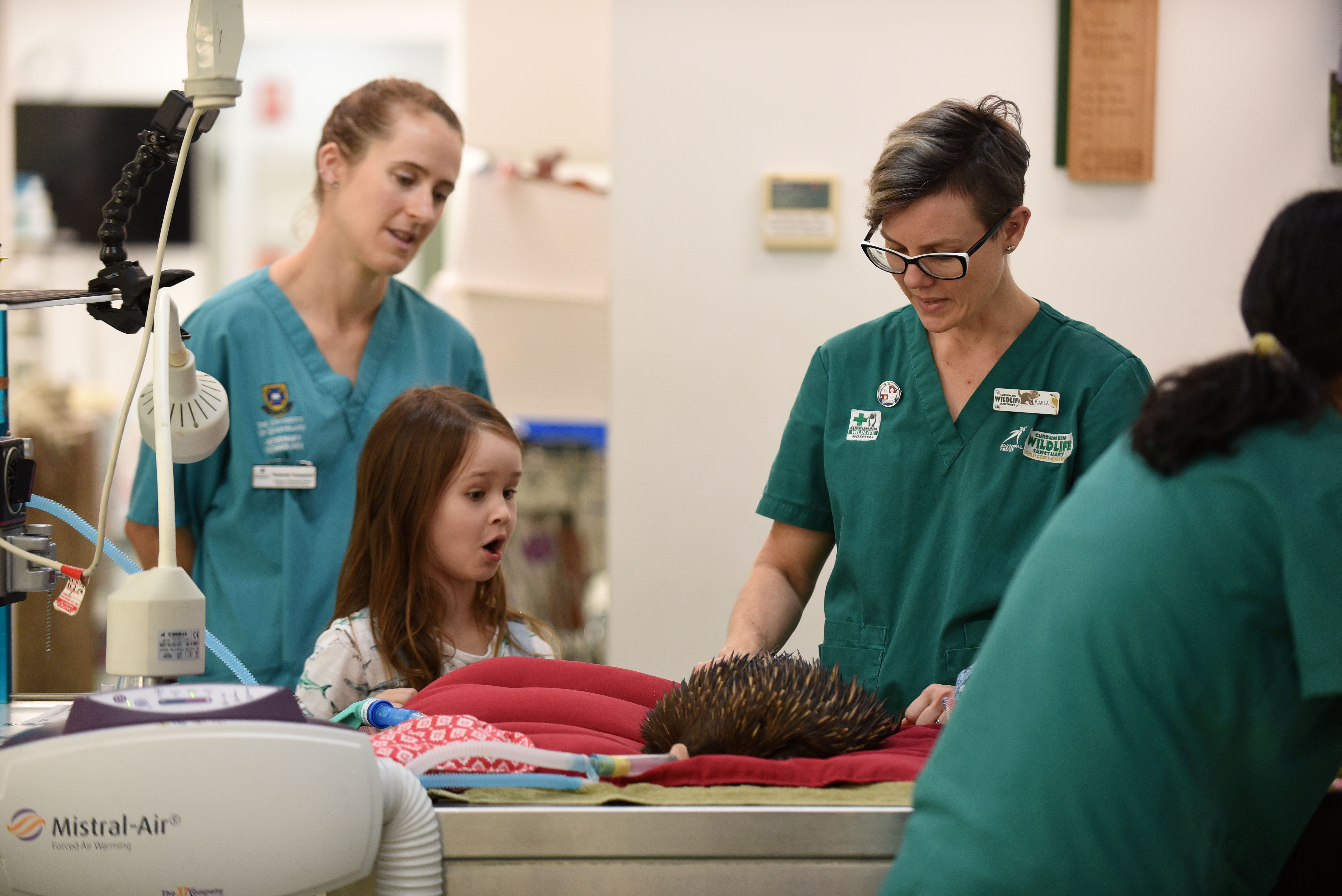 Go Behind the Scenes at Currumbin Wildlife Hospital