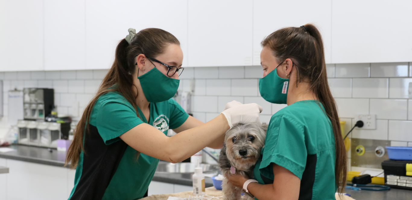 Yarrabilba Veterinary Hospital 